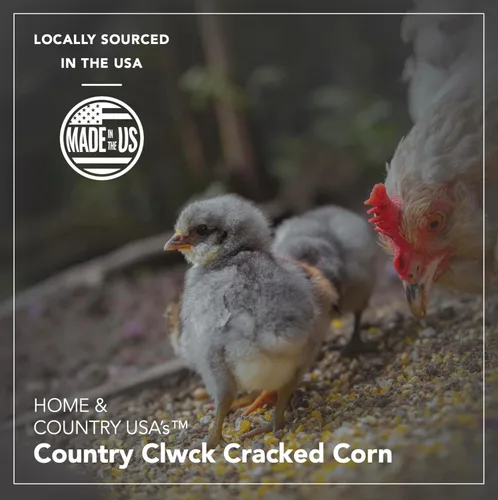 Miniatura 6 de Home and Country USA Country Clwck - Maíz agrietado para pollos, ciervos, pájaros y muchos más vida silvestre. (50 libras)