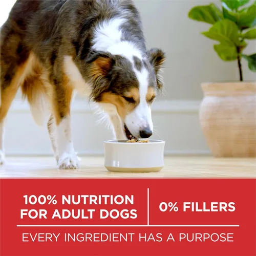 Miniatura 8 de Purina ONE Small Bites Fórmula de ternera y arroz, alimento seco natural para perros pequeños con alto contenido en proteínas, con vitaminas