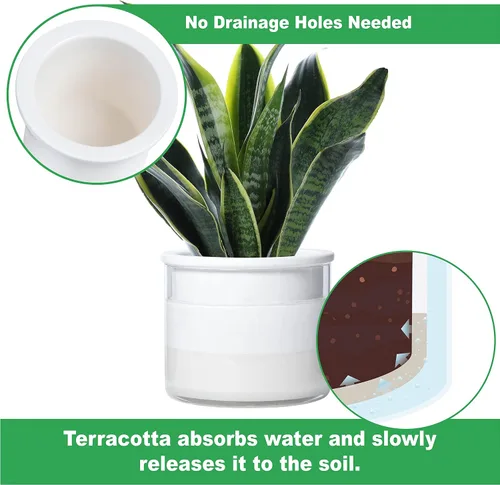 Miniatura 3 de Maceta auto-regante Phoenix Vine de 6 pulgadas, diseño en terracota blanca para plantas, maceta cilíndrica de terracota interior con jarrón de Blanco