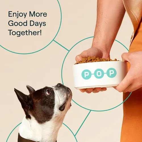 Miniatura 9 de POP-Topper - Comida para perros – Polvo multivitamínico para perros de 35 libras en adelante – Deliciosa base de caldo de huesos con 6