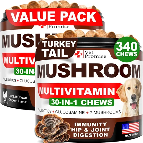 Miniatura 10 de Hongo Cola de Pavo para Perros - 170 Masticables - Suplemento de Hongos para Perros - Melena de León - Reishi - Apoyo Inmunológico Multivitamínico