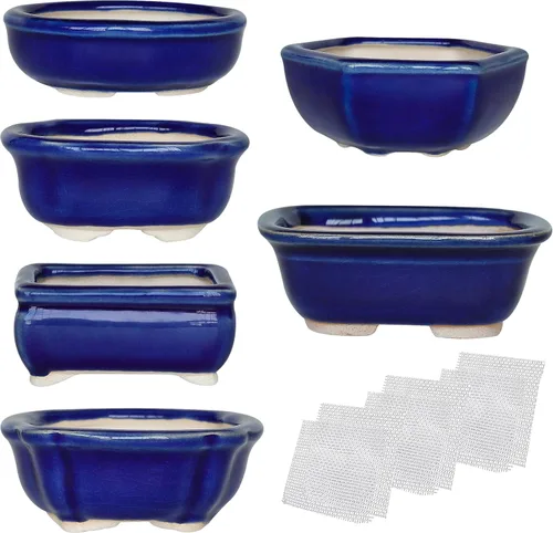 Miniatura 8 de Juego de 6 macetas esmaltadas para suculentas Bonsái + 6 pantallas de drenaje de malla suave