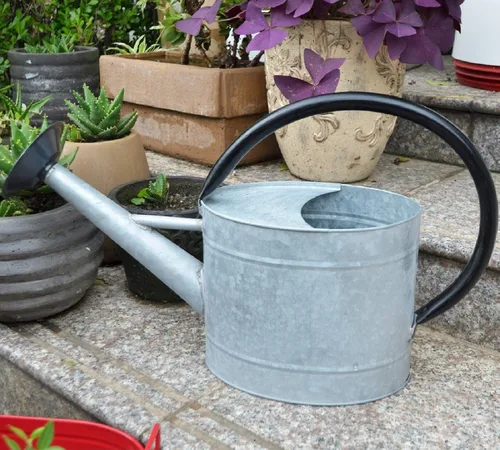 Miniatura 12 de Recipiente para regar plantas de interior y exterior, galvanizada, estilo moderno con asa y rosetón zinc