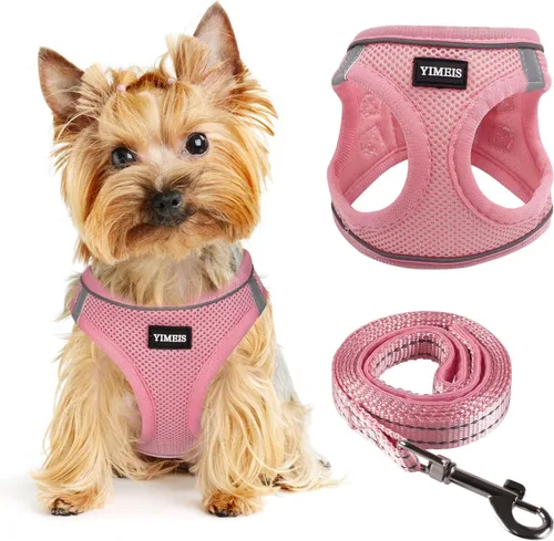 Arnés para perros pequeños y juego de correa, rejilla de nido de abeja, arnés ligero reflectante y correa antitorsión para mascotas (multicolor, Rosa