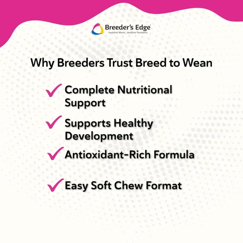 Miniatura 5 de Breeder's Edge Breed to Wean, Multivitamínico prenatal y posnatal para perros y gatos, apoya a las madres embarazadas y lactantes, suplemento