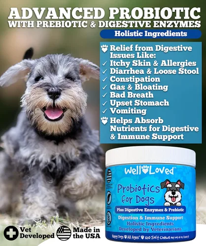Miniatura 2 de Well Loved Probióticos para perros, probióticos para perros, fabricados en Estados Unidos, desarrollados por veterinarios para la salud intestinal