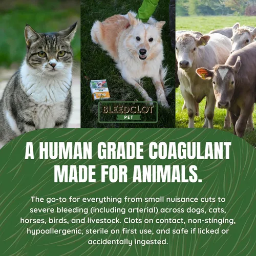 Miniatura 6 de FirstAid Polvo de coagulación de la sangre Deja de sangrar en todos los animales garantizados cortes menores a sangrado arterial de Makers of