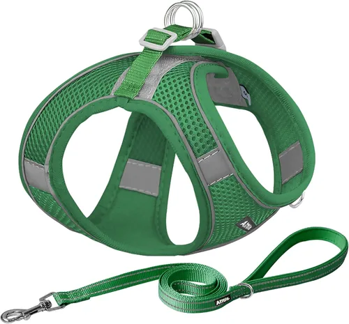 Miniatura 8 de AIITLE - Juego de arnés y correa para perro sin tirones, arnés ajustable para perros con chaleco acolchado para todo clima, correa para perros