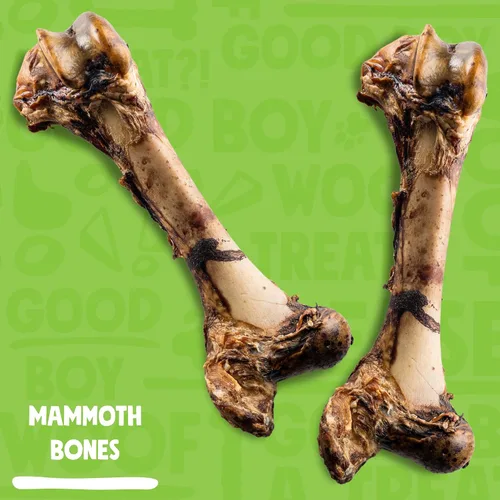 Miniatura 2 de Mammoth - Huesos grandes para perros grandes, huesos de carne de fémur de 16 pulgadas para masticadores agresivos, hueso de perro gigante natural