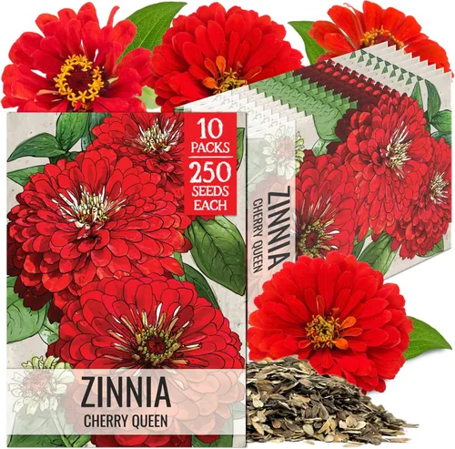 Miniatura 42 de Seed Needs California Giants - Semillas de zinnia – 250 semillas tradicionales para plantar Zinnia elegans – Cultiva flores anuales polinizadas