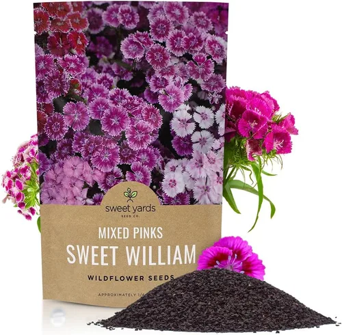 Miniatura 10 de Semillas Sweet William - Colores rosados mezclados - Paquete extra grande de 1 onza - Más de 30,000 semillas de flores polinizadas abiertas sin OMG