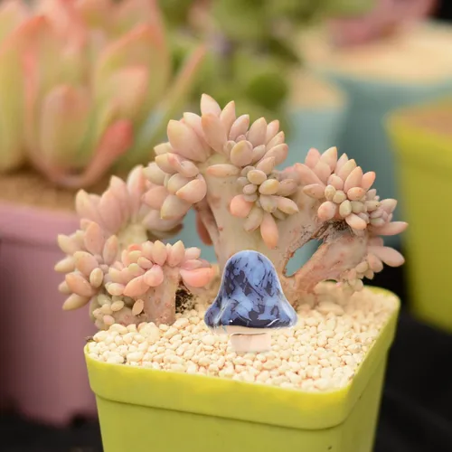 Miniatura 4 de Tofficu Decoración al aire libre, 6 piezas de cerámica de hongos de jardín, estacas, estatua de hongos para patio, césped, decoración de macetas al