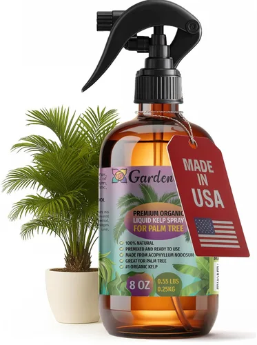 Miniatura 29 de GARDENERA Spray orgánico profesional de algas marinas para plantas AGLAONEMA – 8 oz – Rocío fertilizante de algas marinas y algas marinas totalmente
