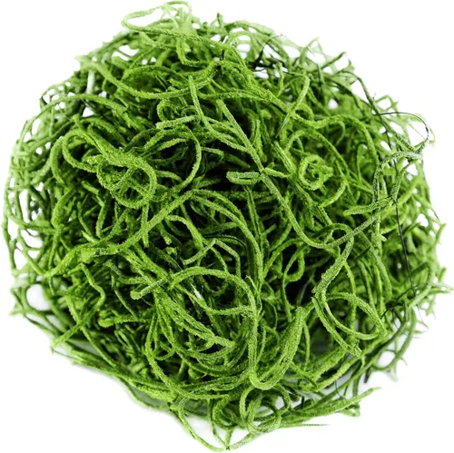 Miniatura 3 de SuperMoss Musgo Español Conservado, Verde césped