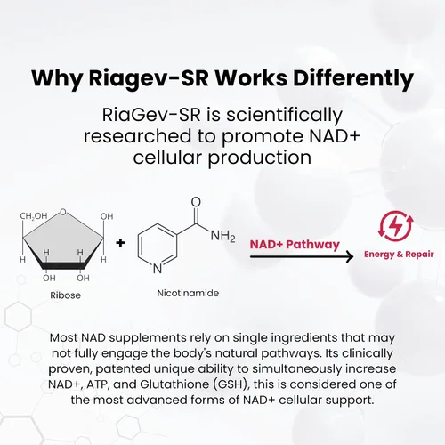 Miniatura 5 de Revive Tabletas de suplemento NAD+ para hombres y mujeres Suplemento NAD impulsado por RiaGev®-SR Energía celular, metabolismo, cerebro