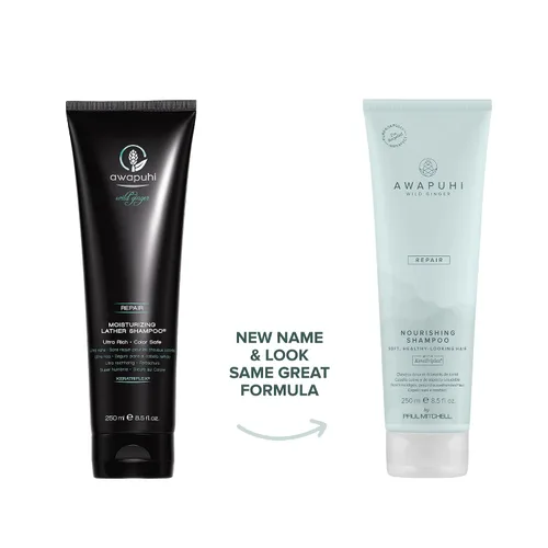 Miniatura 2 de Awapuhi Wild Ginger by Paul Mitchell Champú nutritivo, fórmula ultra rica y segura para el color, para cabello seco, dañado + teñido