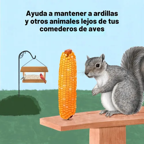 Miniatura 3 de Kaytee Maíz en la Mazorca, 6.5 lb
