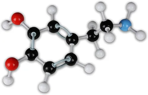 Miniatura 3 de Parco Scientific Kit de modelo molecular PCM007 125PCs