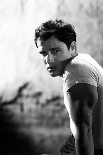 AllPosters Foto de pared Un tranvía llamado deseo, 1951 dirigida por ELIA KAZAN con Marlon Brando (foto b/n), 16x24