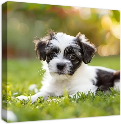 Miniatura 16 de YYYYHPP Impresiones en lienzo con tus fotos, arte de pared personalizado de foto a lienzo, impresión en lienzo para boda, familia, bebé, mascotas