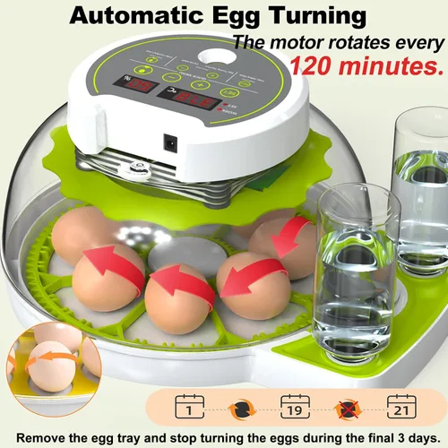 Miniatura 4 de Incubadoras DEZHXHE para incubar huevos, incubadora de huevos de gallina con giro automático de huevos, control de temperatura y pantalla