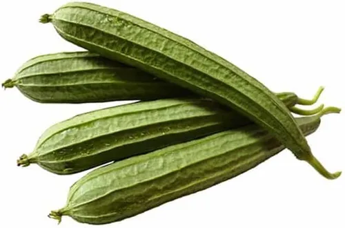Miniatura 5 de The Rike 20 Semillas Luffa Acutangula Seeds Angulada Luffa Ridge Gourd Turai Chinese Okra Plato Paño Calabaza, Calabaza Estriada, Muop Huong