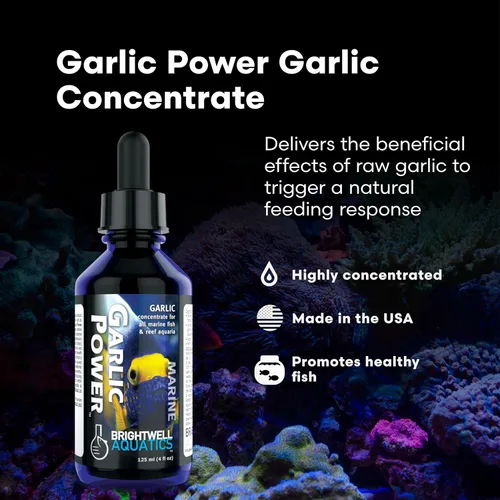 Miniatura 2 de Brightwell Aquatics GarlicPower Extracto de ajo para peces de acuario – Mejora la respuesta de alimentación – Aumenta la nutrición – Ideal