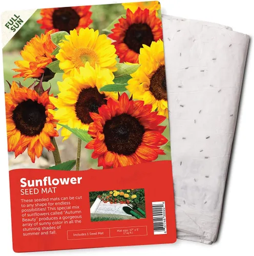 Miniatura 7 de BloomingBulb Alfombrilla para semillas, fácil de plantar y cultivar semillas de jardín, crea un jardín de flores fragantes y vibrantes, macizos