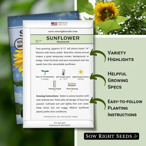 Miniatura 2 de Sow Right Seeds - Semillas de girasol de mamut para plantar - Cultiva girasoles gigantes en tu jardín - Semillas de reliquia sin OMG para plantar un