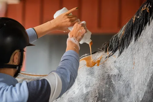 Miniatura 5 de Kawell USA Champú concentrado para caballo. Promueve un pelaje y una piel saludables. Ayuda a aliviar la picazón y la piel seca, alergias e