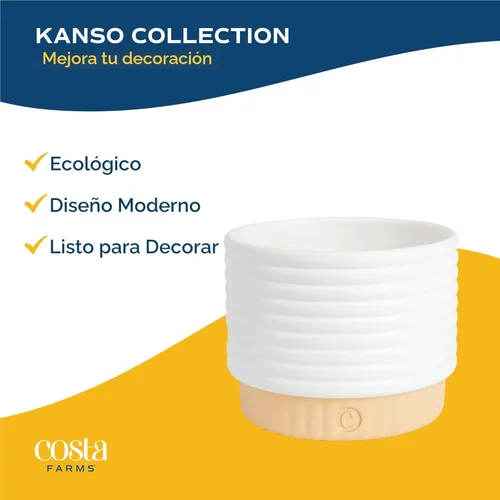 Miniatura 7 de Costa Farms - Planta de serpiente, Sansevieria, planta viva en maceta decorativa, fácil de mantener, suculenta purificadora de aire para interiores
