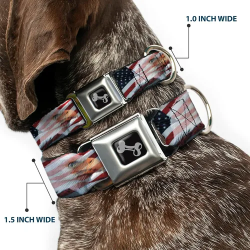Miniatura 2 de Bandera de Estados Unidos diseño de estrellas y rayas Eagle Diversión Animal Cinturón de Seguridad Pet Collar, Multicolor