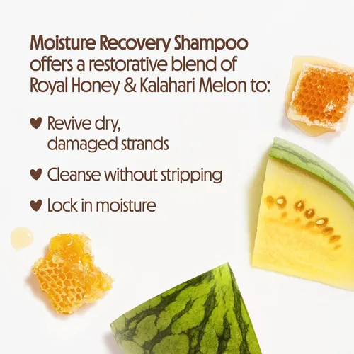 Miniatura 3 de Not Your Mother's Naturals Protect & Nourish - Juego de champú y acondicionador - 15.2 onzas líquidas - Productos para el cabello sin sulfato