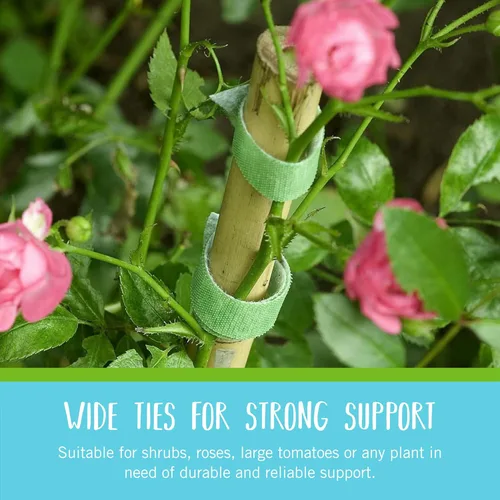 Miniatura 2 de Velcro Brand VEL-30089-AMS - Bridas de jardín de plástico reciclado para rosas fuertes, arbustos, enredaderas y plantas pesadas, 1 pulgada x 35