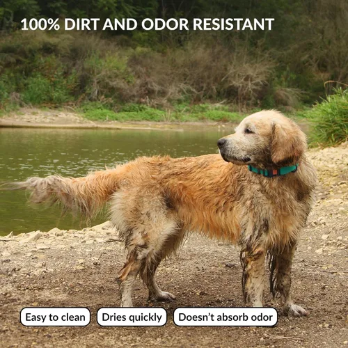 Miniatura 3 de CollarDirect Collar de perro impermeable - Collar de silicona, plástico, resistente al olor, fácil de limpiar, para perros grandes, medianos y Verde