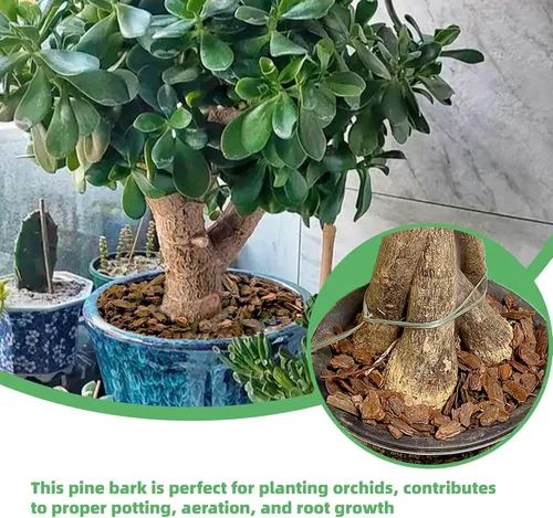Miniatura 4 de 18 Quarts de corteza orgánica de orquídea para macetas - Mantillo natural de orquídea para plantas en maceta, desarrollo de raíces de plantas
