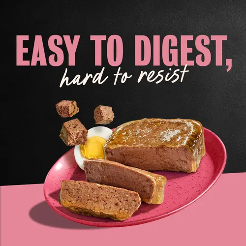 Miniatura 9 de Cesar - Comida húmeda gourmet para perros en paquete variado de 12 unidades (paquete de 2)