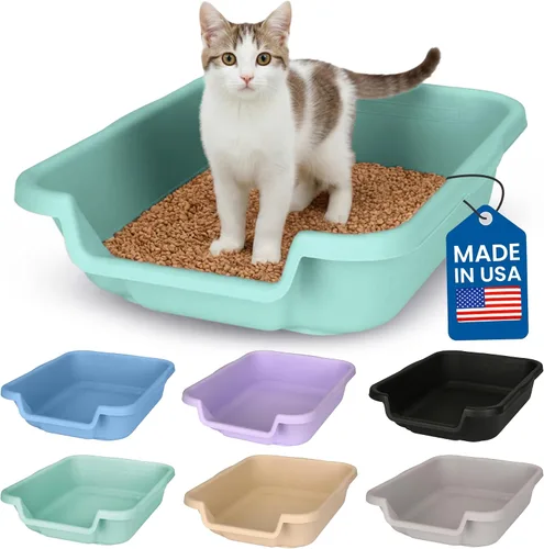 Miniatura 23 de KittyGoHere - Caja de arena para gatos mayores, sartén pequeña con cuchara jumbo de mango largo, caja de arena para gatos de entrada baja, ligera