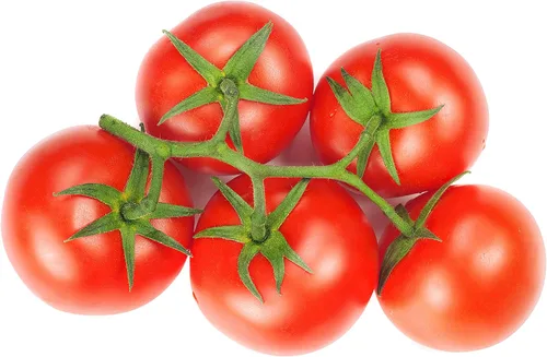 Bush Champion II Hybrid - Semillas de Tomate