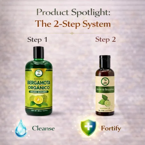 Miniatura 3 de Champú Bergamota Orgánico (16.9 fl oz) con Aloe Vera y Romero + Aceite de Bergamota (4.2 fl oz) Champú Orgánico Bergamota con Sábila & Romero +