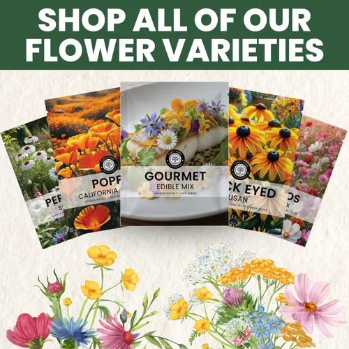 Miniatura 6 de Mezcla Gourmet Comestible – 1,000 semillas premium para plantar – Flores culinarias frescas y hierbas – Temporada 2026 – Bolsa de 5 gramos