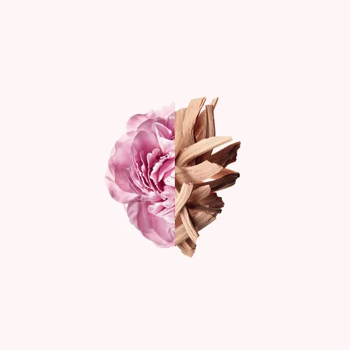 Miniatura 9 de Givenchy Irresistible Rose Velvet Eau De Parfum Spray para Mujer 1.7 onzas