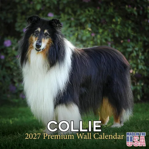 Miniatura 224 de Calendario 2025 2026 de cachorros Cocker Spaniel - Calendario mensual de pared de raza de perro - 12" x 24" abierto - Papel grueso sin sangrado