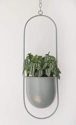 Miniatura 2 de RISEON Colgador de Plantas de Metal Verde Boho, Maceta Colgante de Metal para Pared y Techo, Maceta Moderna, Soporte de Maceta de Flores de Mediados