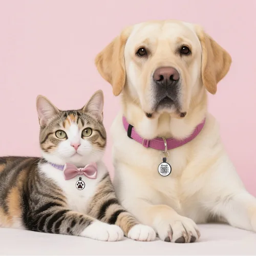 Miniatura 6 de Etiqueta para gatos con código QR, página de visualización de perfil en línea de mascotas, múltiples contactos de emergencia, silicona silenciosa
