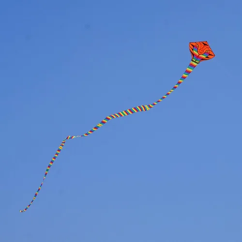 Miniatura 5 de Besra Cometa grande de serpiente cobra de 52 pies, colorida cometa de serpiente de cascabel con colas largas, deportes divertidos al aire libre