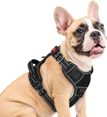 Miniatura 17 de Eagloo Arnés para perro de tamaño pequeño, fácil de llevar con 3 hebillas, arnés ajustable sin tirones para mascotas con sistema MOLLE, chaleco