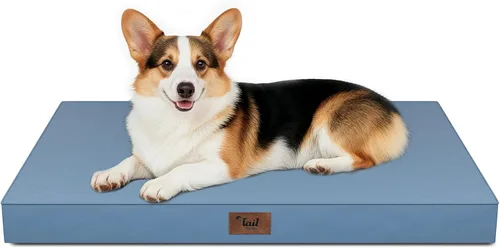 Miniatura 57 de Cama ortopédica de felpa para perros y cachorros medianos, camas impermeables para perros de 30 x 20 pulgadas con funda extraíble lavable, tapete