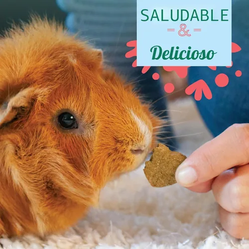 Miniatura 6 de Oxbow Animal Health Golosinas Vegetales Simples, Golosinas de Zanahorias y Pimiento para Conejos y Conejitos, Snack para Mascotas para Conejos