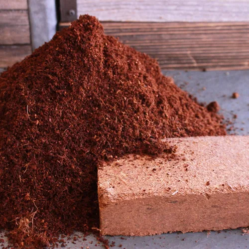 Miniatura 3 de Living Whole Foods Kit de cultivo de pasto de trigo orgánico certificado - Cultiva y jugo de hierba de trigo bandejas, semillas, tierra de coco
